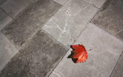 4 Steps to Remove Leaf Stains from Concrete Walkways